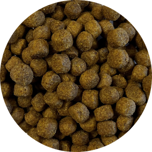 Bite Sized Dog Food
